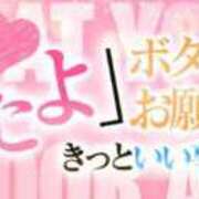 ヒメ日記 2025/06/04 08:36 投稿 めい マリン千姫