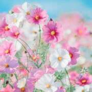 ヒメ日記 2025/11/18 18:17 投稿 れいみ 大塚デリ姫