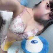 ヒメ日記 2025/06/17 08:20 投稿 ことり RED BERYL～レッドベリル～