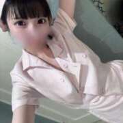 ヒメ日記 2025/06/24 23:50 投稿 ことり RED BERYL～レッドベリル～