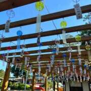 ヒメ日記 2025/11/01 21:50 投稿 のあ すごいエステ仙台店