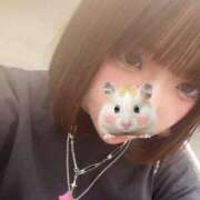ヒメ日記 2026/06/24 02:15 投稿 なみ☆史上最高峰アイドル超可愛い PREMIUM萌え可愛いチョコレート～全てのステージで感動の体験を～