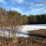 ヒメ日記 2026/01/08 14:14 投稿 れい☆卒業したてのガチ18歳♪ 妹系イメージSOAP萌えフードル学園 大宮本校