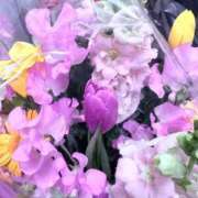 ヒメ日記 2026/02/14 19:18 投稿 れい☆卒業したてのガチ18歳♪ 妹系イメージSOAP萌えフードル学園 大宮本校