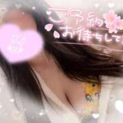 ヒメ日記 2026/03/04 07:33 投稿 涌井　ゆり OLセレクション宇都宮店