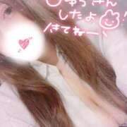 ヒメ日記 2026/06/14 06:11 投稿 涌井　ゆり OLセレクション宇都宮店
