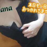 ヒメ日記 2025/06/06 01:03 投稿 かな 沼津人妻花壇