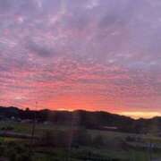 ヒメ日記 2025/09/23 08:02 投稿 ゆん 錦糸町ちゃんこ