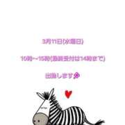 ヒメ日記 2026/03/10 08:22 投稿 ゆん 錦糸町ちゃんこ