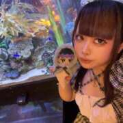 ヒメ日記 2025/08/03 14:37 投稿 ゆうか DIVAセカンドシーズン日立店