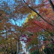 ヒメ日記 2025/10/27 13:17 投稿 咲野めぐみ キュア＆マジック