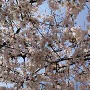 咲野めぐみ 十三公園 キュア＆マジック