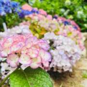 ヒメ日記 2025/06/17 09:11 投稿 ちなつ 梅田アバンチュール