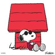 ヒメ日記 2025/07/07 22:32 投稿 ちなつ 梅田アバンチュール