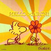 ヒメ日記 2026/03/04 21:23 投稿 ちなつ 梅田アバンチュール