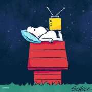 ヒメ日記 2026/03/12 23:32 投稿 ちなつ 梅田アバンチュール