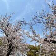 ヒメ日記 2026/03/31 20:14 投稿 ちなつ 梅田アバンチュール