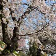 ヒメ日記 2026/04/07 17:52 投稿 ちなつ 梅田アバンチュール