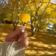 ヒメ日記 2025/11/24 13:30 投稿 さり 豊満倶楽部