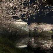 さり 桜まつり🌸 豊満倶楽部