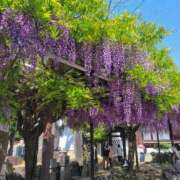 ヒメ日記 2025/06/09 09:33 投稿 涼子 CLASSY（クラッシー）.神戸