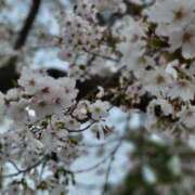 ヒメ日記 2025/06/11 09:59 投稿 涼子 CLASSY（クラッシー）.神戸