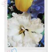 ヒメ日記 2025/08/27 12:56 投稿 名倉 MCロイヤル