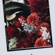 名倉 名倉です MCロイヤル