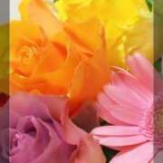 名倉 こんにちは MCロイヤル