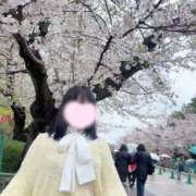 ヒメ日記 2026/04/01 21:16 投稿 うた 素人系イメージSOAP彼女感大宮館