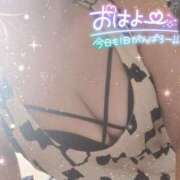 ヒメ日記 2025/07/31 08:08 投稿 元木(もとき) 熟女出逢い会『百合の園』目黒店