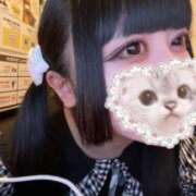 ヒメ日記 2025/11/29 19:17 投稿 アヤメ【FG系列】 デリぽちゃin柏（FG系列）