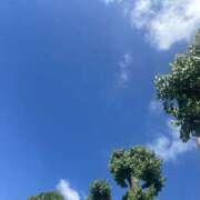 ヒメ日記 2025/06/04 21:47 投稿 はるね 千葉柏ちゃんこ