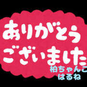 ヒメ日記 2025/06/13 01:06 投稿 はるね 千葉柏ちゃんこ
