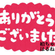 ヒメ日記 2025/06/18 09:08 投稿 はるね 千葉柏ちゃんこ