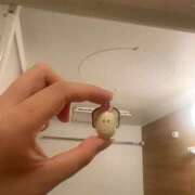 ヒメ日記 2025/06/24 22:26 投稿 はるね 千葉柏ちゃんこ