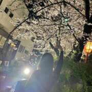 ヒメ日記 2026/04/05 14:18 投稿 有吉(ありよし) 八王子人妻城