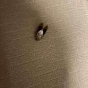 ヒメ日記 2025/07/28 17:54 投稿 みい すごいエステ仙台店