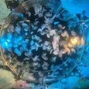 ヒメ日記 2026/03/03 23:20 投稿 みい すごいエステ仙台店