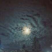 ヒメ日記 2025/10/03 21:02 投稿 鈴菜(すずな) チューリップ宇都宮店