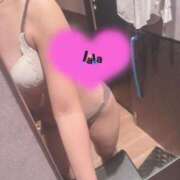 ヒメ日記 2025/09/03 14:26 投稿 らら BAD COMPANY（バッドカンパニー）