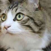 ヒメ日記 2025/08/06 18:58 投稿 みく ティアラ(小名浜)