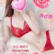 ヒメ日記 2025/06/13 11:30 投稿 みさき ままどーる