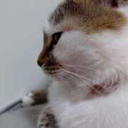 ヒメ日記 2025/06/21 18:49 投稿 まい club Ego