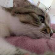 ヒメ日記 2025/06/22 12:56 投稿 まい club Ego