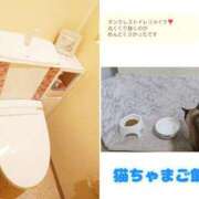 ヒメ日記 2025/06/24 10:59 投稿 まい club Ego