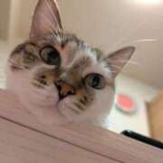 ヒメ日記 2025/08/01 05:53 投稿 まい club Ego