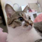 ヒメ日記 2025/08/24 19:42 投稿 まい club Ego