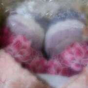 ヒメ日記 2025/09/03 14:10 投稿 まい club Ego