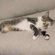 ヒメ日記 2025/09/27 22:09 投稿 まい club Ego